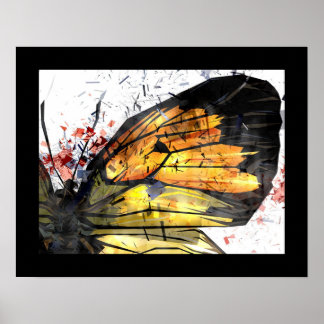 Pôster Chaos Powder