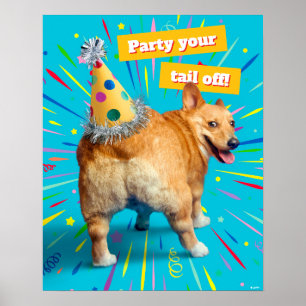 Poster Chapéu de Aniversário Bumbum de Corgi