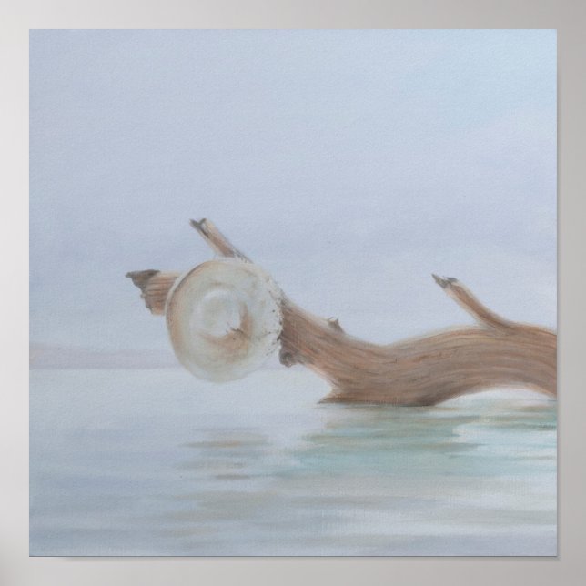 Pôster Chapéu no Creek 2012 (Frente)