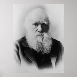 Pôster Charles Darwin