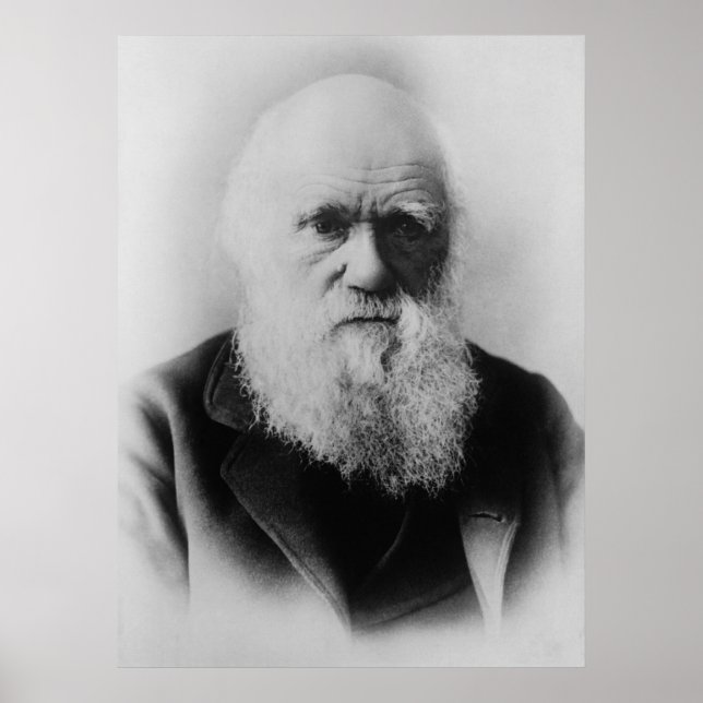 Pôster Charles Darwin (Frente)