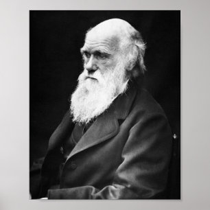 Poster Charles Darwin