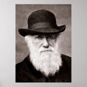 Poster Charles Darwin