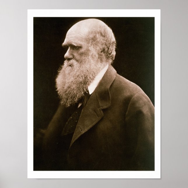 Poster Charles Darwin (1809-82) (fotografia) (Frente)