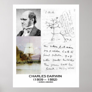 Poster Charles Darwin Collage HMS Beagle Evolution