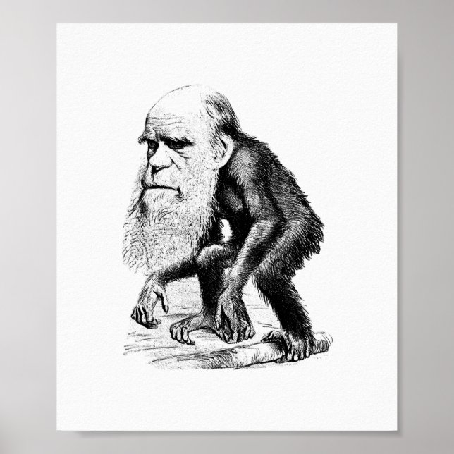 Pôster Charles Darwin Como Um Epe (Frente)