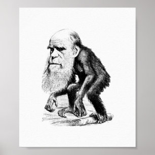 Pôster Charles Darwin como um macaco