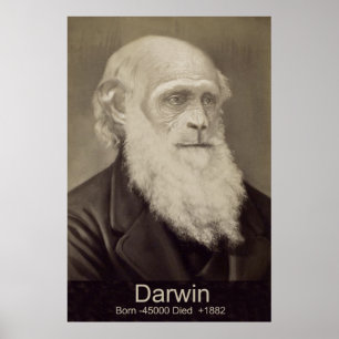 Pôster Charles Darwin O Destaque do Homem Darwin Retrato