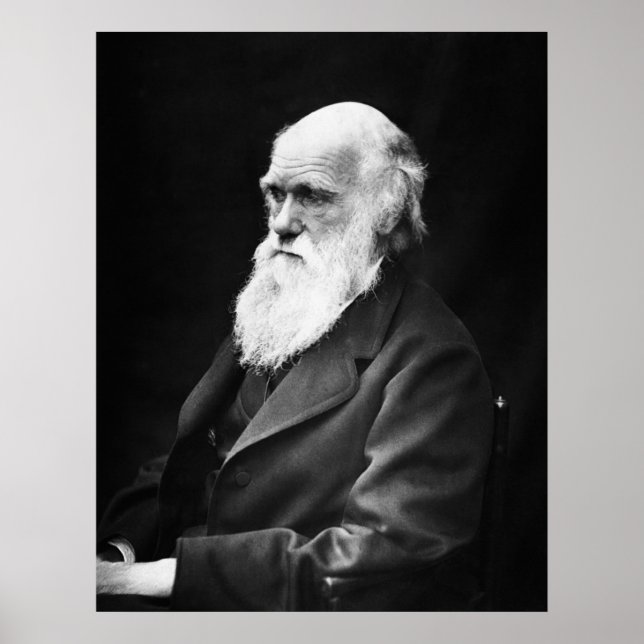 Pôster Charles Darwin Portrait (Frente)