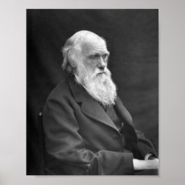 Poster Charles Darwin Portrait - 1874