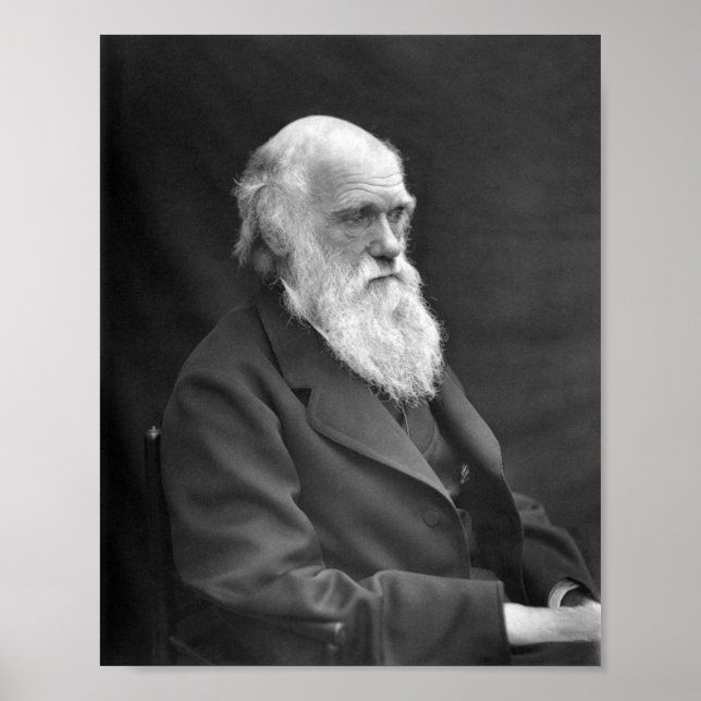 Poster Charles Darwin Portrait - 1874 (Frente)