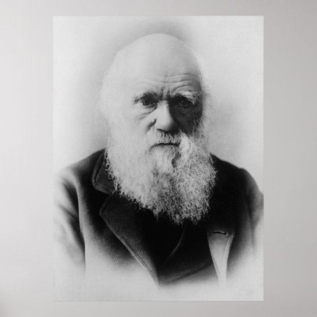 Pôster Charles Darwin Retrait por Elliott e Fry (Frente)