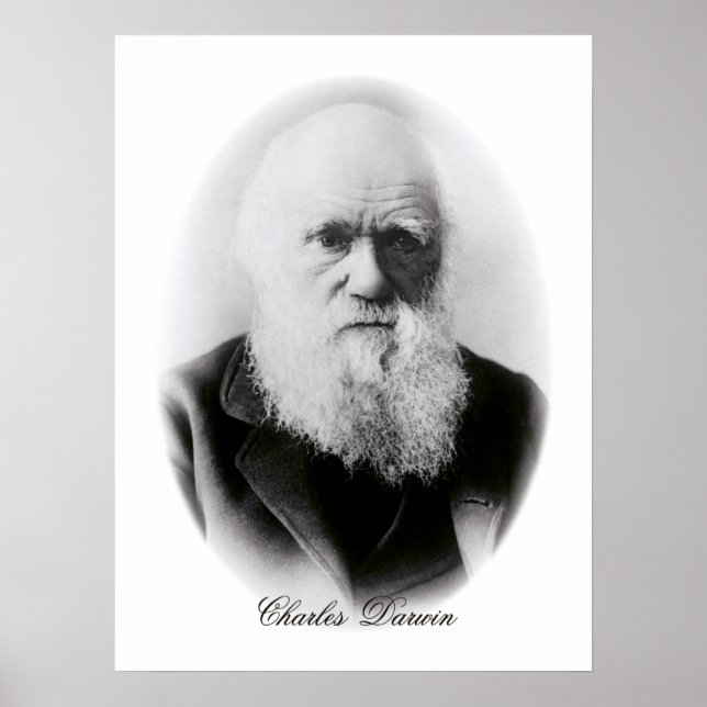 Poster Charles Darwin Vignette (Frente)