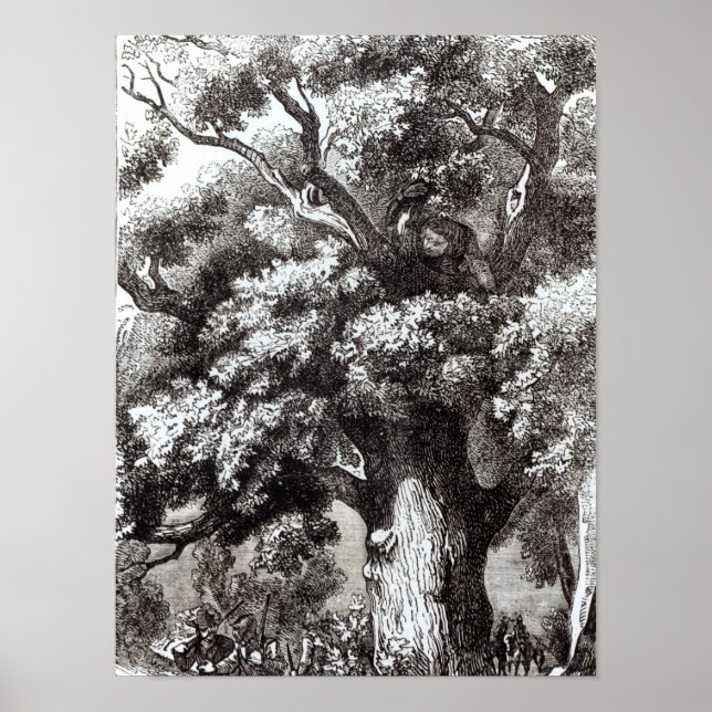 Pôster Charles II escondido na árvore de carvalho (Frente)