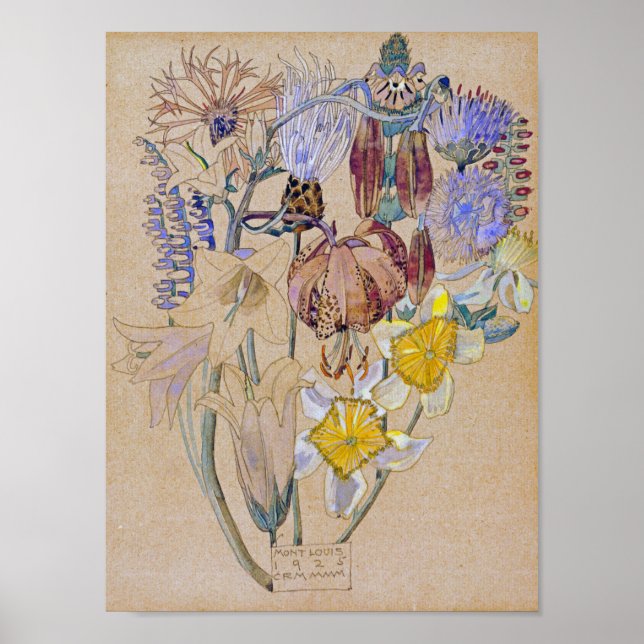 Poster Charles Rennie Mackintosh - Mont Louis - Flor (Frente)