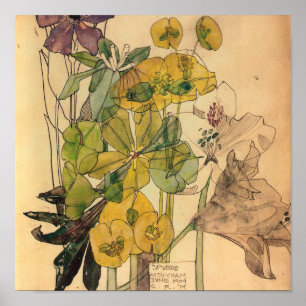 Poster Charles Rennie Mackintosh - Spurge Com Yham 1909