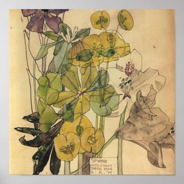 Poster Charles Rennie Mackintosh - Spurge Com Yham 1909 (Frente)