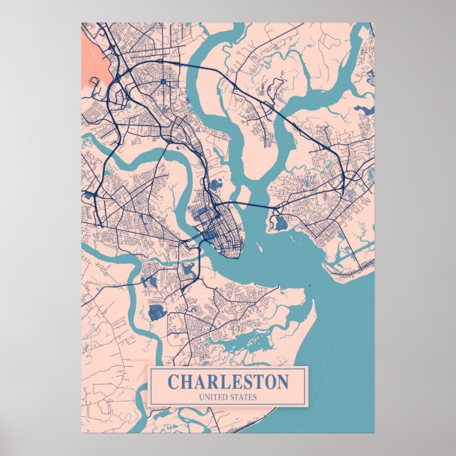Poster Charleston - Estados Unidos Breezy City Map (Frente)