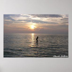 Pôster Charli na praia do th