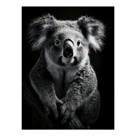 Pôster Charming Black & White Koala Fine Art Print |