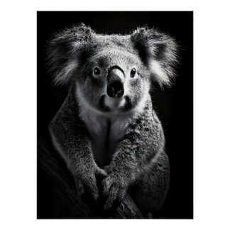 Pôster Charming Black & White Koala Fine Art Print |
