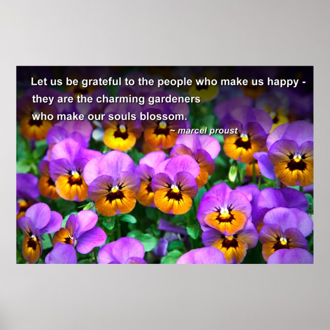 Pôster Charming Gardeners Proust Quote Cheerful Pansies (Frente)
