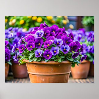 Poster Charming violet flower pot