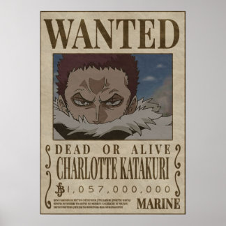 Poster CHAROLETTE KATAKURI Uma peça queria