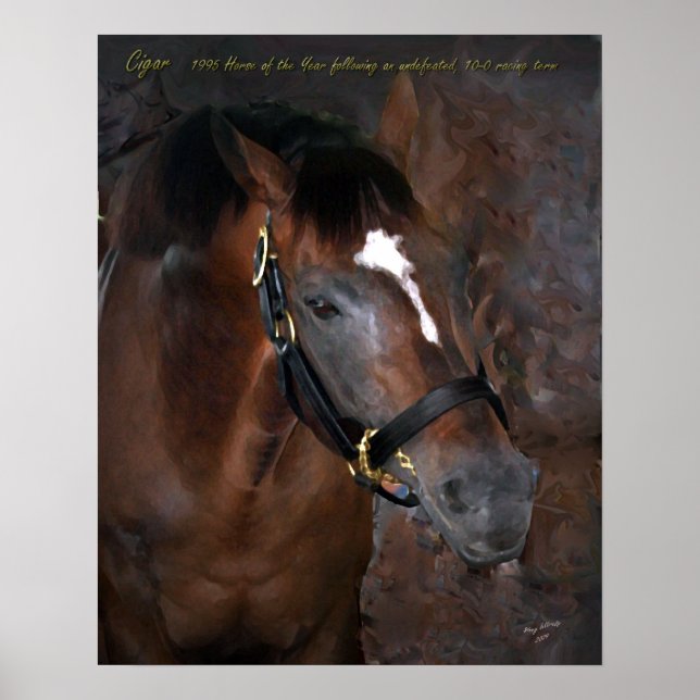 Pôster Charuto (Frente)