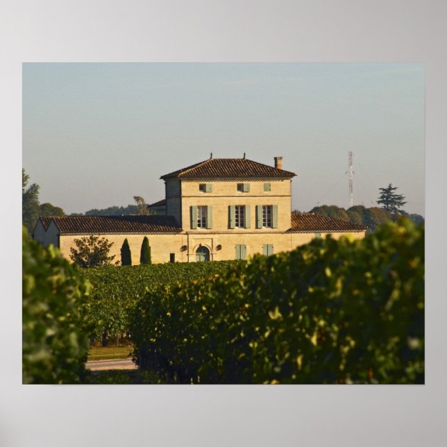 Pôster Chateau Lafleur Petrus e vinhedo, em Pomerol, (Frente)