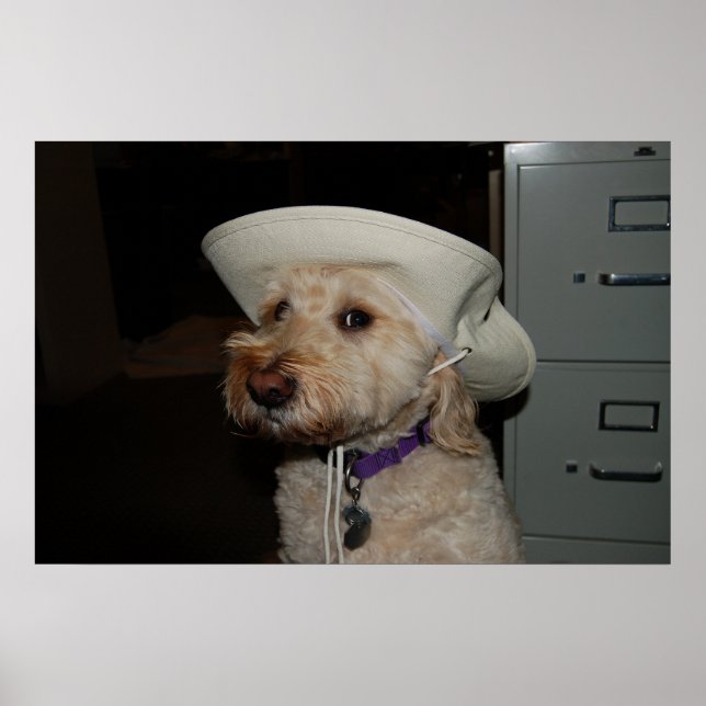 Poster chaz6 (Frente)