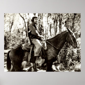 Pôster Che Guevara