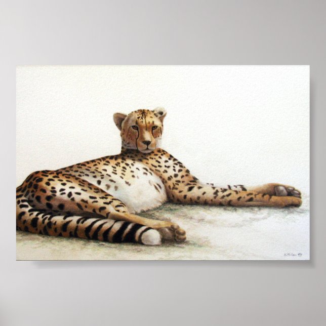 Poster Cheetah (Frente)