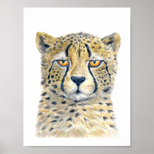 Poster Cheetah