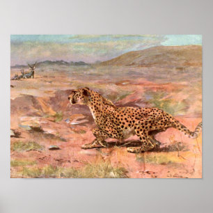 Pôster Cheetah e Antílopes por Swan, Animal Selvagem Vint