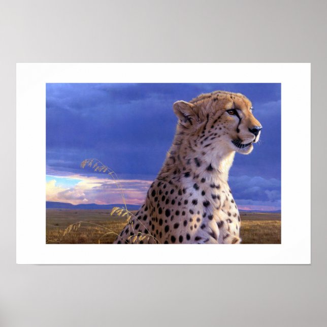 Poster-Cheetah Poster (Frente)
