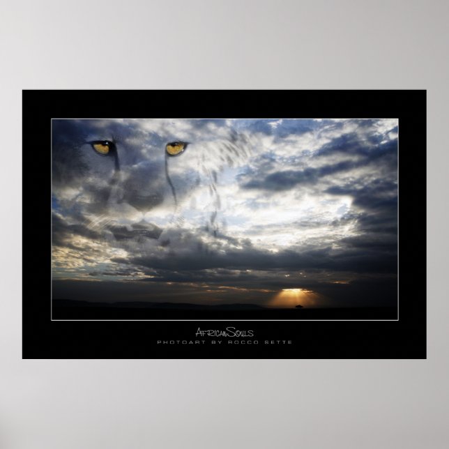 Poster Cheetah Spirit (Frente)