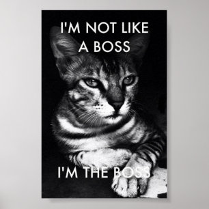 Poster Chefe
