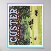 CHEFE DE BISON - PARQUE DO ESTADO DO CLIENTE - DAK