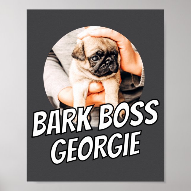 Poster Chefe de Latido Pet Cachorro Foto Moderno Simples  (Frente)
