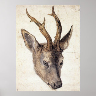 Poster Chefe de Stag - Albrecht Durer - c1503