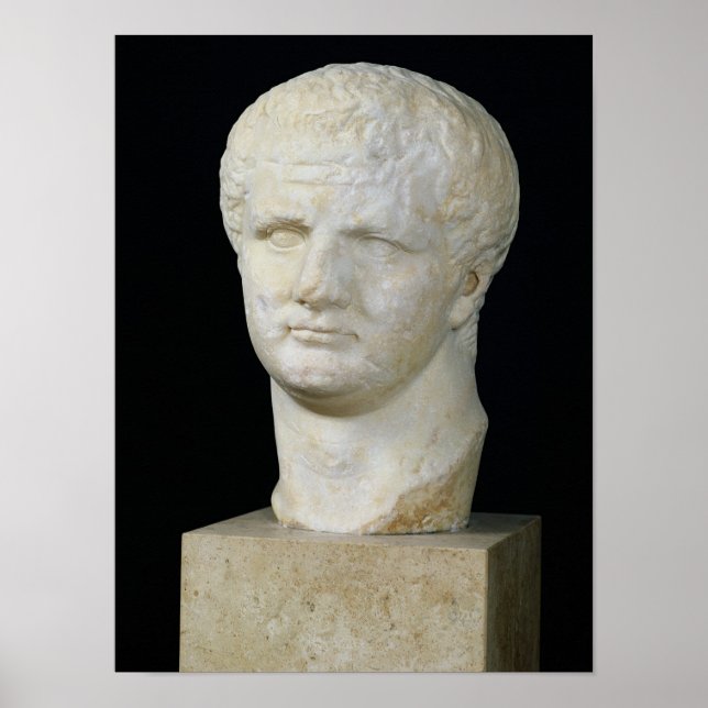 Pôster Chefe de Titus (Frente)