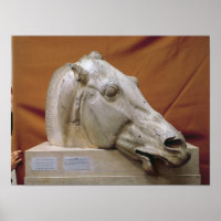 Chefe de um Cavalo de Selene