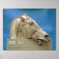 Chefe de um dos cavalos de Selene