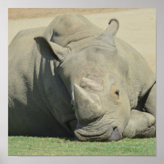 Poster Chefe do efetivo