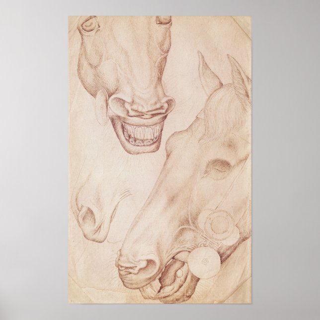 Pôster Chefes de Cavalo, do Álbum Vallardi (Frente)