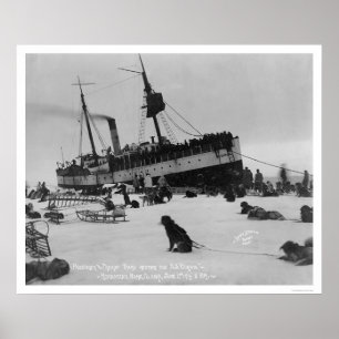 Pôster Chegada Nome do navio, Alaska 1914