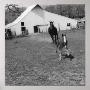 Poster Chegando em Ya