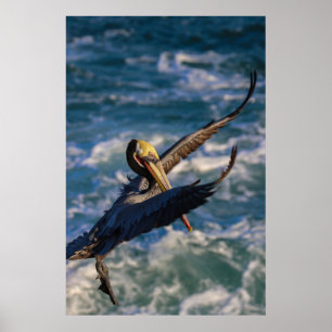 Poster Chegando para pousar