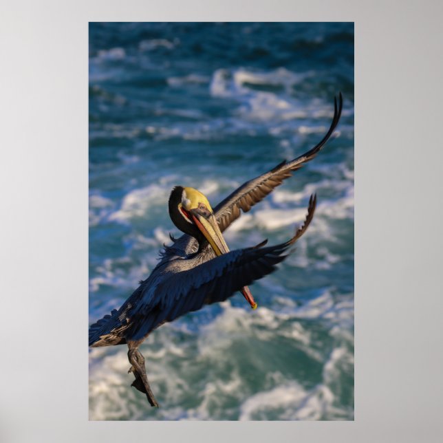 Poster Chegando para pousar (Frente)